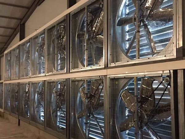 養(yǎng)殖場風機